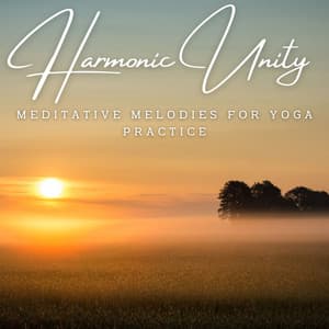 Harmonic Unity: Meditative Melodies for Yoga Practice - Black Butterfly Music Ensemble