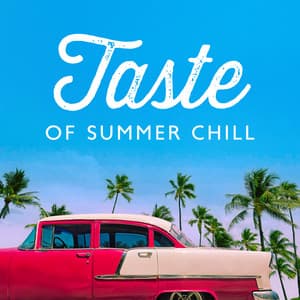Taste of Summer Chill - Lo-fi Chill Zone