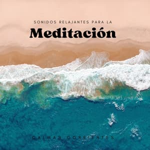 Calmas Corrientes: Sonidos Relajantes Para La Meditación - Sonidos de corrientes de agua blanda