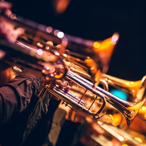 Symphony of Night: Orchestra for Sleep - Valborg Shamsuddin