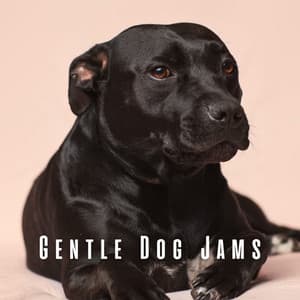 Gentle Dog Jams: Lofi Peaceful Tunes - Lofi Chill