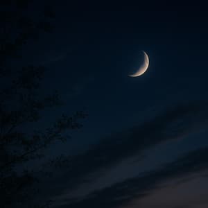 1 Sleepy Galaxy: Drifting Night Whispers - Calm Music