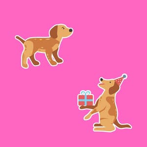 Music for Weekends with Pups - Alto Sax - Dog Calming Music