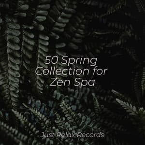 50 Spring Collection for Zen Spa - Healing Yoga Meditation Music Consort