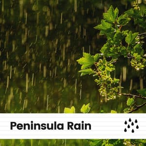 Peninsula Rain - Rainfall Place