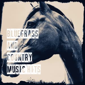 Bluegrass and Country Music Hits - Country Kings