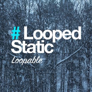 # Looped Static - Loopable