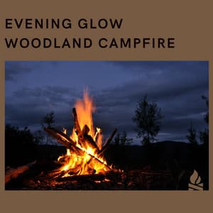 Evening Glow: Woodland Campfire - Campfire & Fireplace