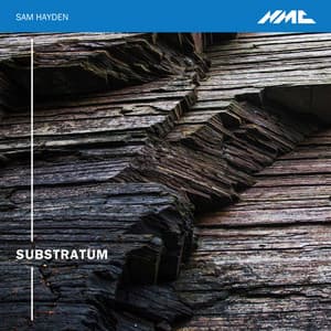 Substratum - Sam Hayden