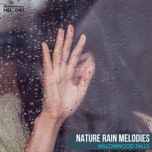 Nature Rain Melodies - Willowwood Falls - The Rain Library