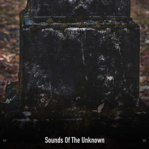 !!!!" Sounds Of The Unknown "!!!! - The Citizens of Halloween