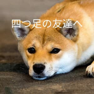 四つ足の友達へ - Jazz Office