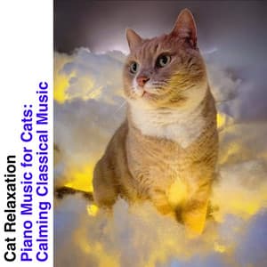 Piano Music for Cats: Calming Classical Music - Cat Relaxation