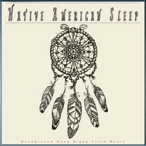 Native American Sleep: Background Deep Sleep Flute Music - Sleep Music: Native American Flute