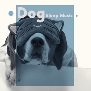 Dog Sleep Music: Instrumental Music for a Good Sleeping Positions - Calm Sleep Through the Night