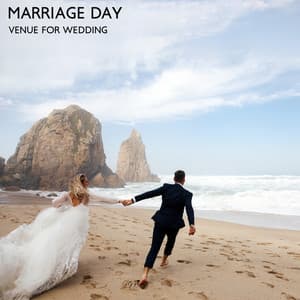Marriage Day: Venue For Wedding - Vinyl Chill Zone