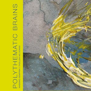 Polythematic Brains - Massimo Semprini