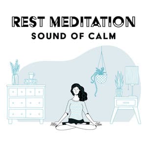 Rest Meditation - Guided Meditation Music Zone