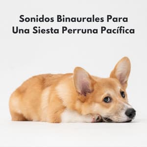 Sonidos Binaurales Para Una Siesta Perruna Pacífica - Ritmo binaural