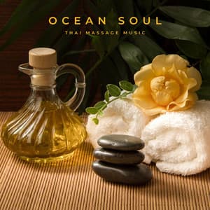 Pure Light: Spa Relaxation - Relaxing Spa Music