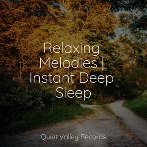 Relaxing Melodies | Instant Deep Sleep - Shakuhachi Sakano