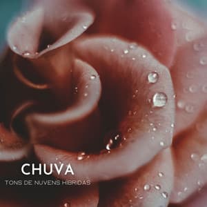 Chuva: Tons De Nuvens Híbridas - Música Para Cães Adormecidos