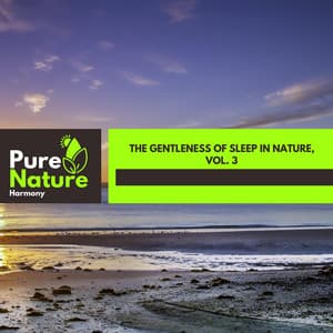 The Gentleness of Sleep in Nature, Vol. 3 - Nature Field Recordings