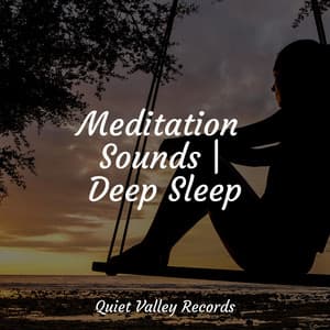 Meditation Sounds | Deep Sleep - Ambient Rain