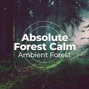 Absolute Forest Calm - Ambient Forest