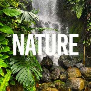 Nature - Rain Sounds & Nature Sounds