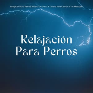 Relajación Para Perros: Música De Lluvia Y Trueno Para Calmar A Tus Mascotas - Trueno relámpago y tormenta de lluvia