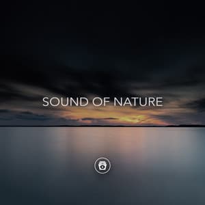 Sound Of Nature - Rainforest Sounds