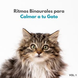 Ritmos Binaurales Para Calmar A Tu Gato Vol. 1 - Colectivo Binaural Épico