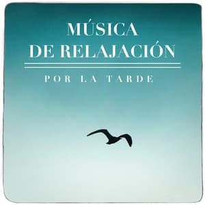 Música De Relalación Por La Tarde - Music and Wellness