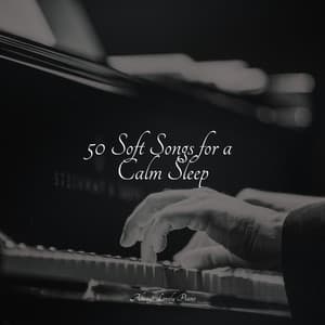 Peaceful Piano Compilation for Reading - Piano Tranquil