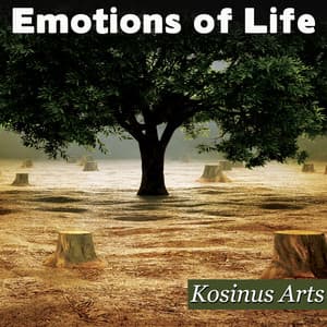 Emotions Of Life - Alain Grange