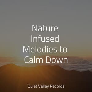 Nature Infused Melodies to Calm Down - Asian Zen Spa Music Meditation