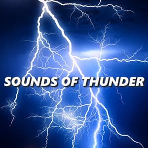 Sounds of Thunder - Sounds Of Thunder