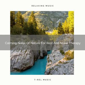 2020 Best: Calming Noise Of Nature For Rest And Noise Therapy - Soft Water Streams Sounds