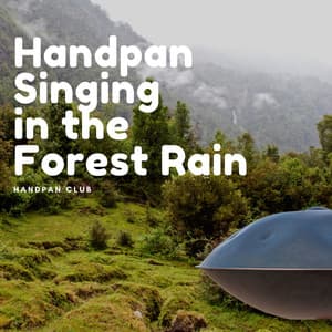 Handpan Singing in the Forest Rain - Handpan Club