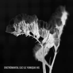 Enstrümantal Caz ile Yumuşak His - Enstrümantal Caz Akademi