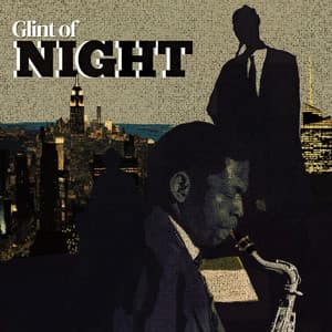 Glint of Night - New York Lounge Quartett
