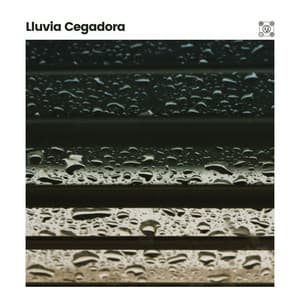 Lluvia Cegadora - Sonidos De Lluvia