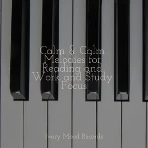 Calm & Calm Melodies for Reading and Work and Study Focus - Ivory Mood