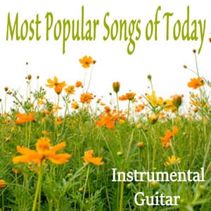 Most Popular Songs of Today: Instrumental Guitar - Steve Petrunak