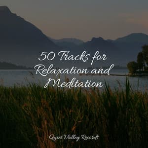 50 Tracks for Relaxation and Meditation - Soothing Chill Out for Insomnia