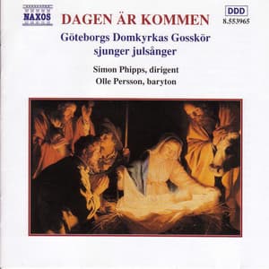 Dagen Är Kommen - Olle Persson