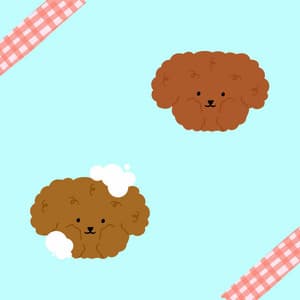 Amazing Trio Jazz - Background for Calming for Hound - Dog Relaxation Music