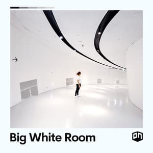 Big White Room - White Noise Radiance