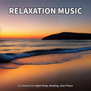 #01 Relaxation Music to Unwind, for Night Sleep, Reading, Inner Peace - Wellness